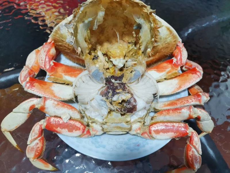 批发冰冻，冰鲜珍宝蟹大量价格优惠欢迎海鲜酒楼，海鲜自助餐