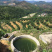 梅州大埔红心柚种植基地，红心柚种植基地批发
