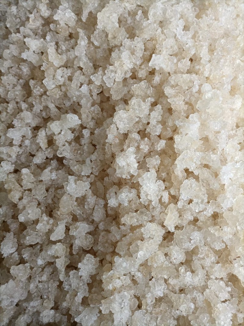 缅甸雪燕直供批发
