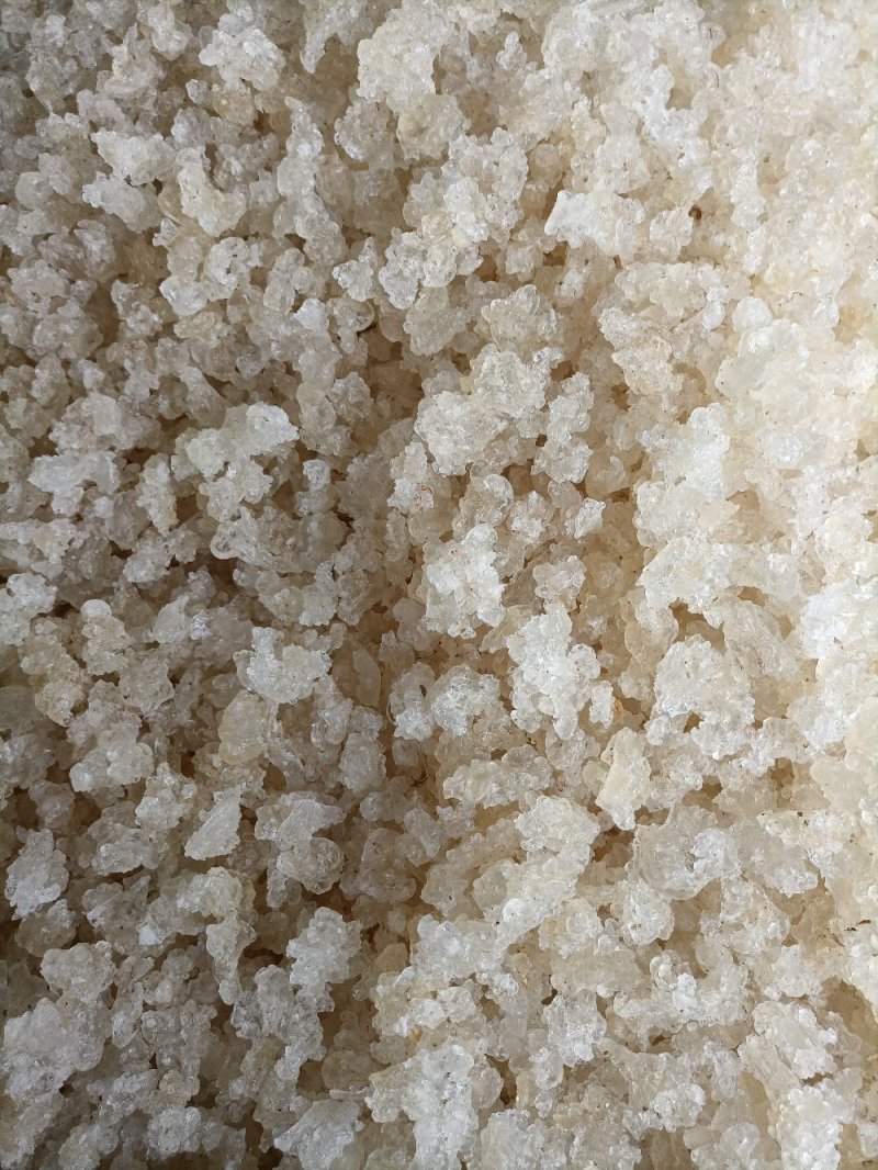 缅甸雪燕直供批发