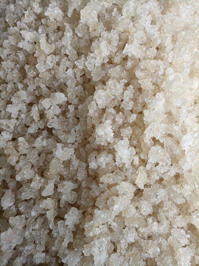 缅甸雪燕直供批发