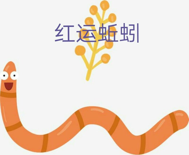 牛粪蚯蚓大号中号小号蚯蚓钓鱼，放生做药鸡鸭鹅林蛙饲料
