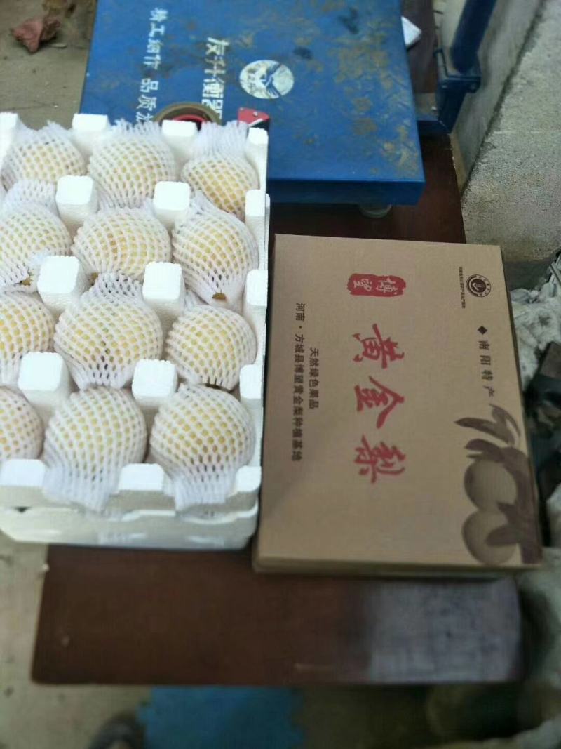 河南方城博望黄金梨大口感好，含糖量高，大量供应。