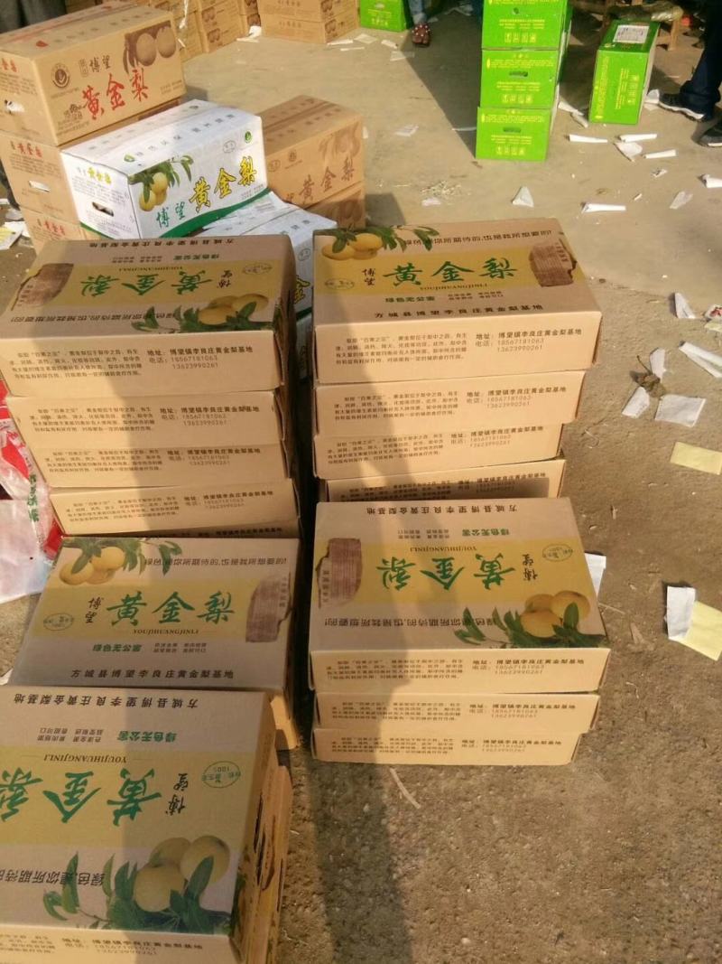 河南方城博望黄金梨大口感好，含糖量高，大量供应。