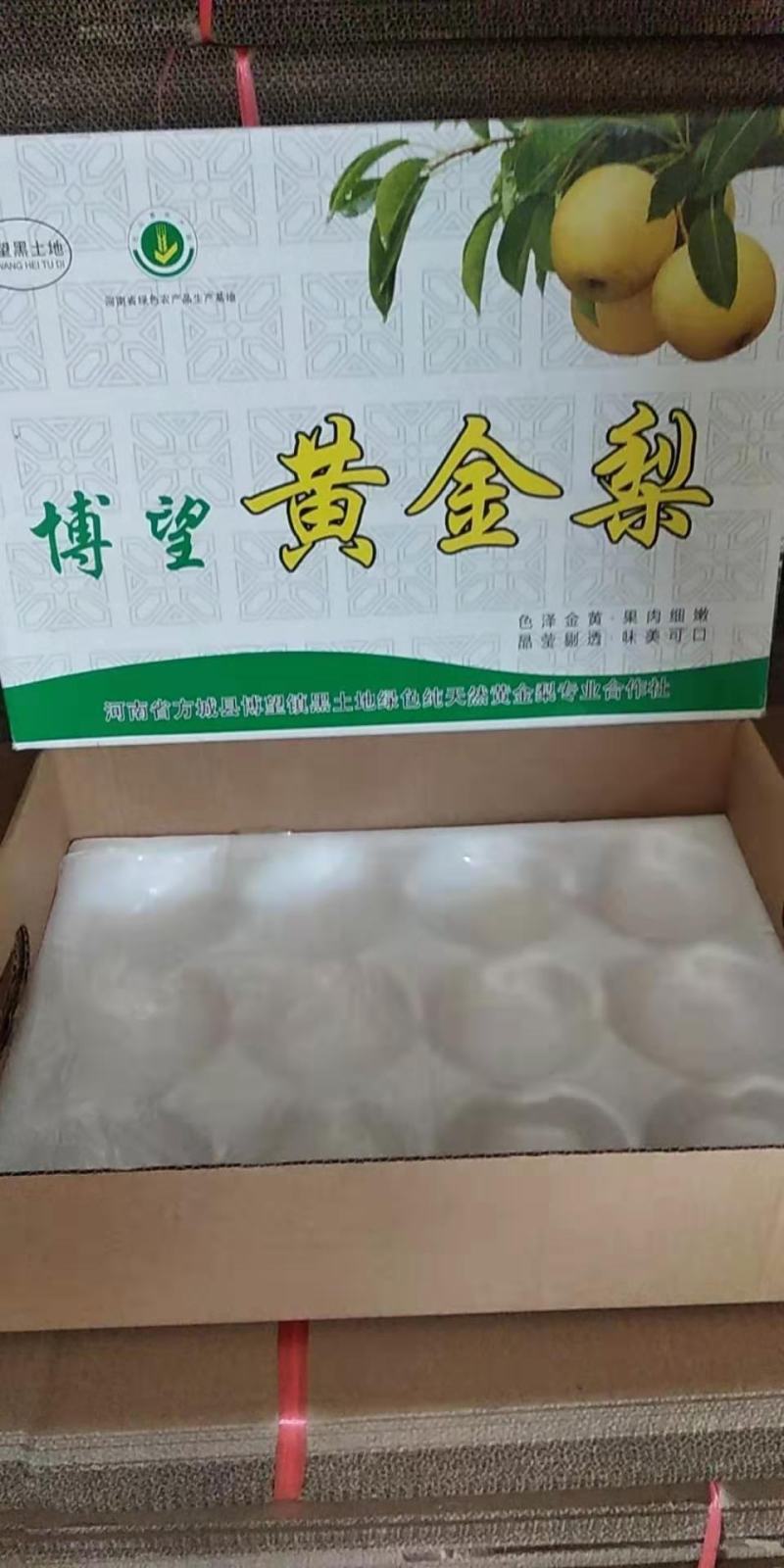 河南方城博望黄金梨大口感好，含糖量高，大量供应。