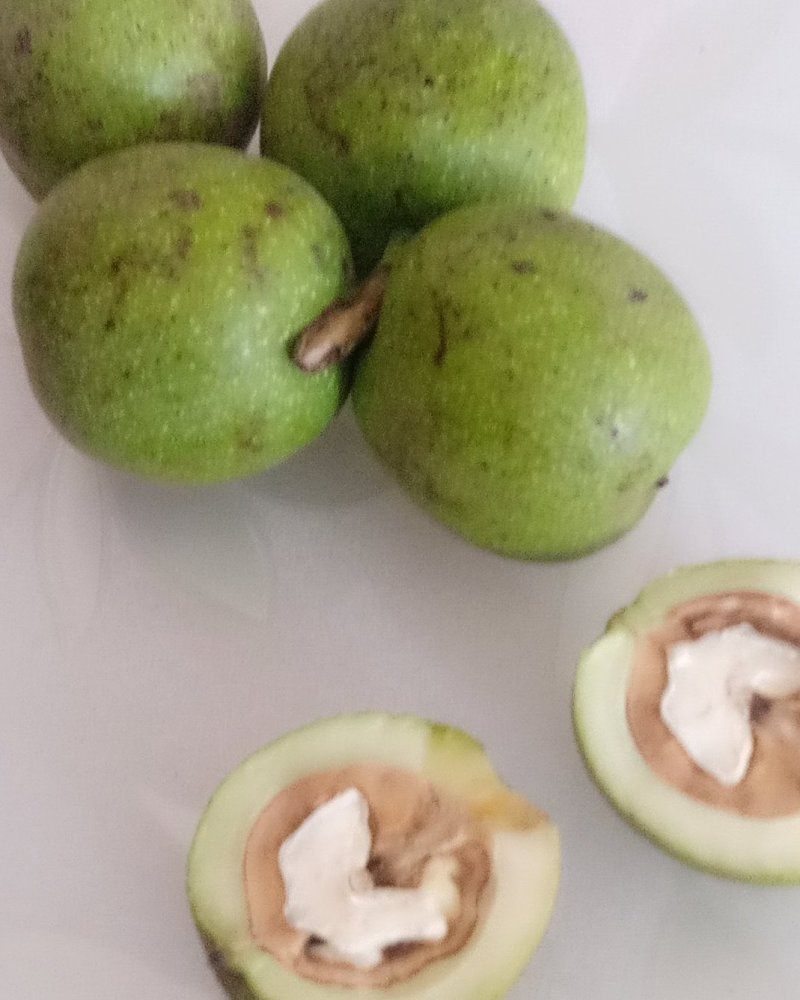 青皮核桃