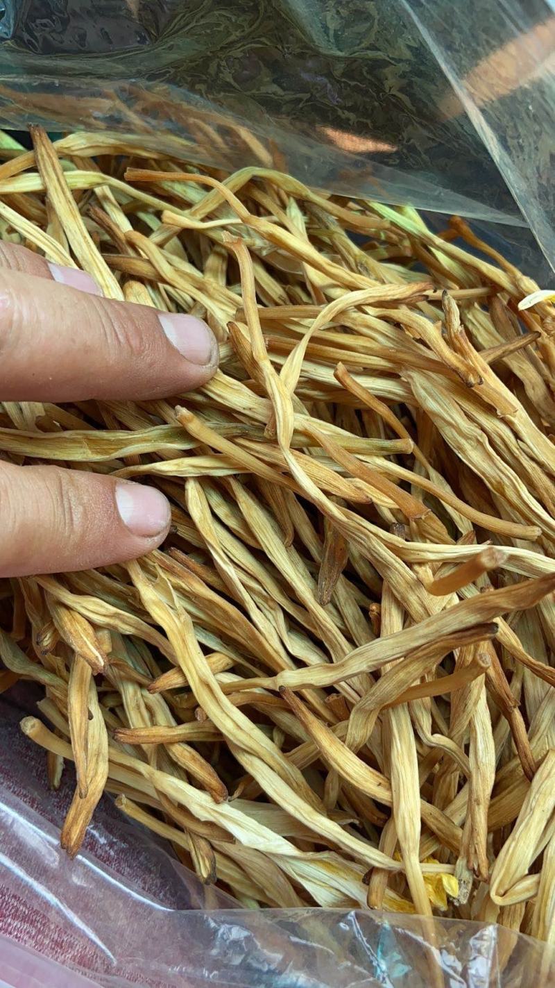 【精选】黄花菜大荔大白直条黄花菜量大现货诚信经营