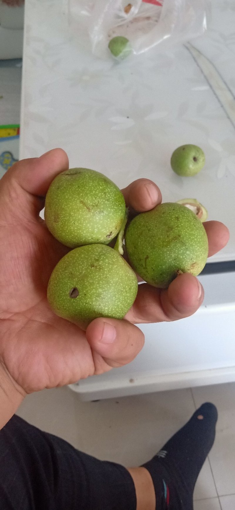青皮核桃