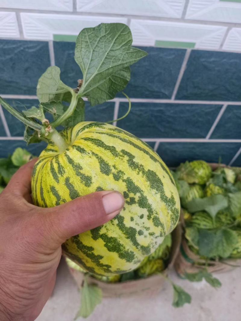 花蕾可对接商超，批发市场