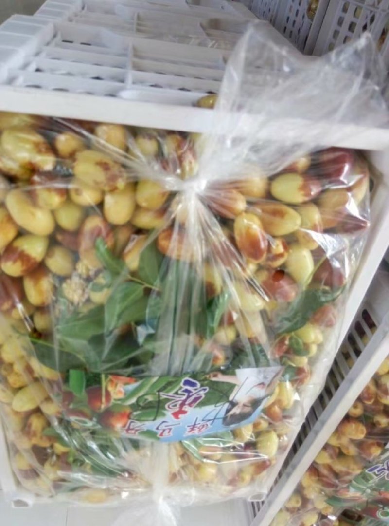 鲜枣！马牙枣-子弹头！