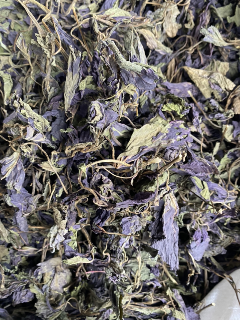 紫苏叶产地直销量大从优批发各种中药材