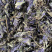 紫苏叶产地直销量大从优批发各种中药材