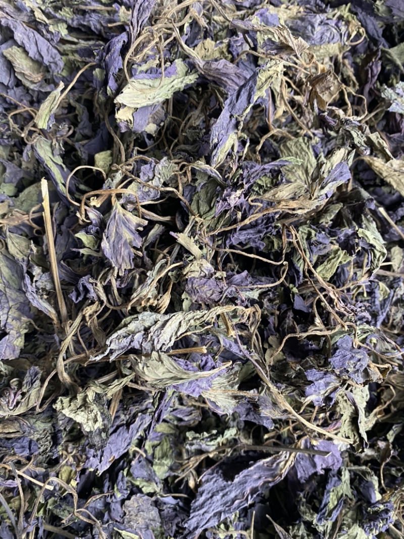 紫苏叶产地直销量大从优批发各种中药材