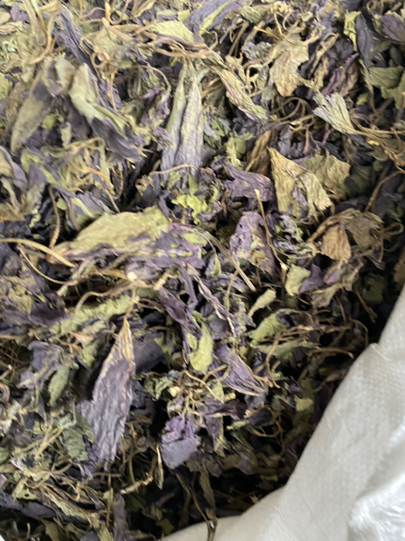紫苏叶产地直销量大从优批发各种中药材