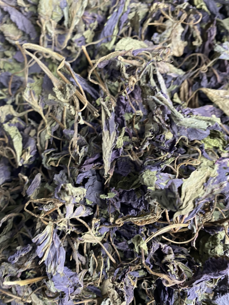 紫苏叶产地直销量大从优批发各种中药材