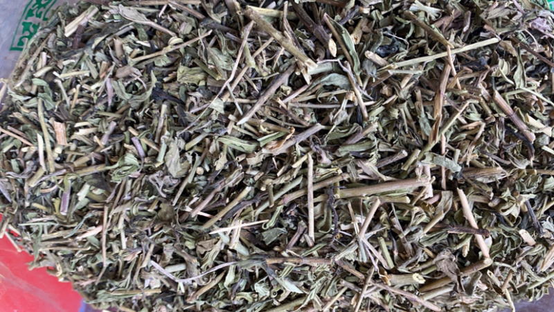半枝莲产地直销量大从优批发各种中药材需要联系