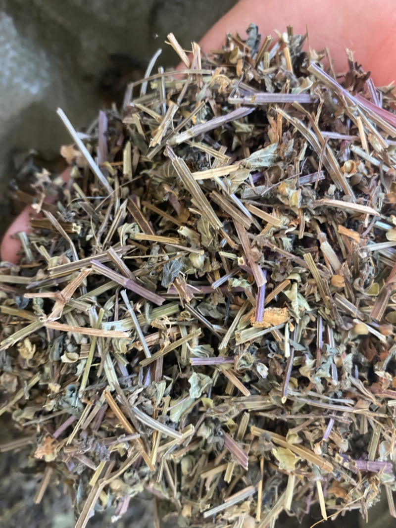 半枝莲产地直销量大从优批发各种中药材需要联系