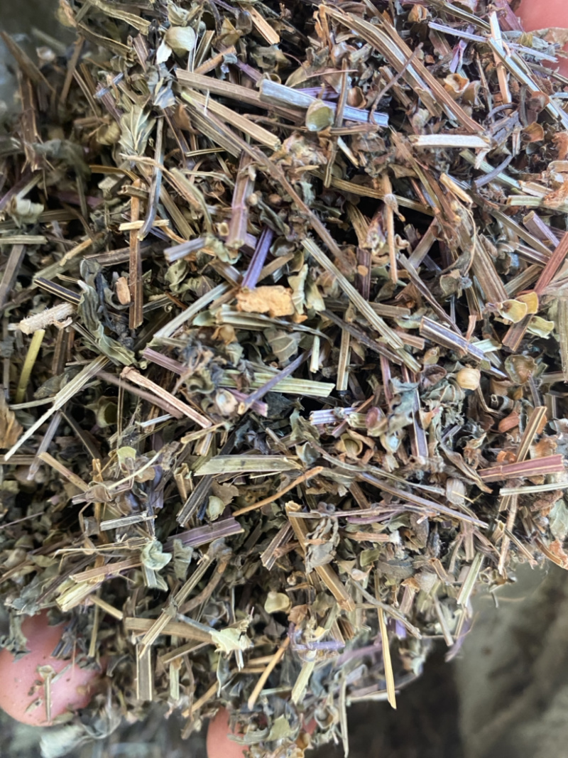 半枝莲产地直销量大从优批发各种中药材需要联系
