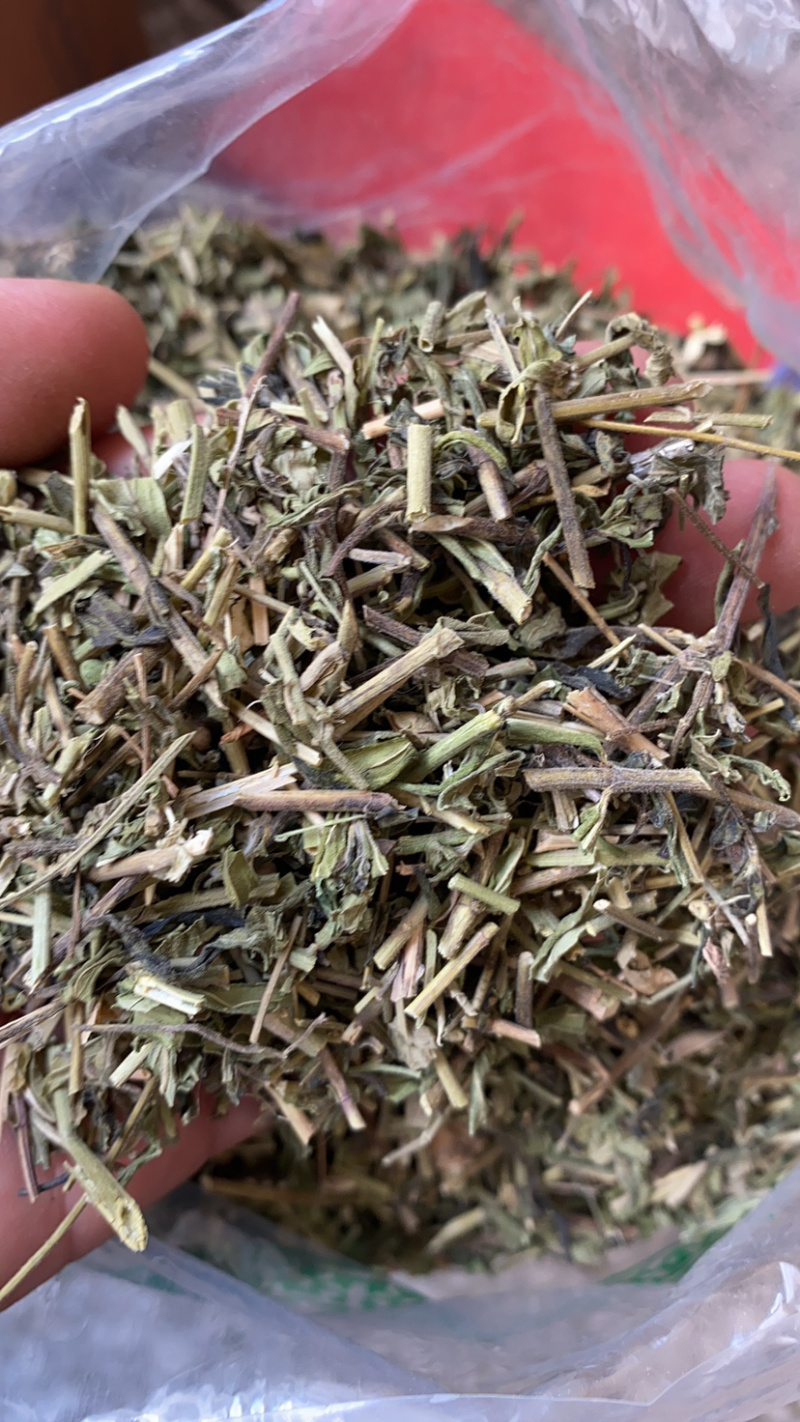 半枝莲产地直销量大从优批发各种中药材需要联系