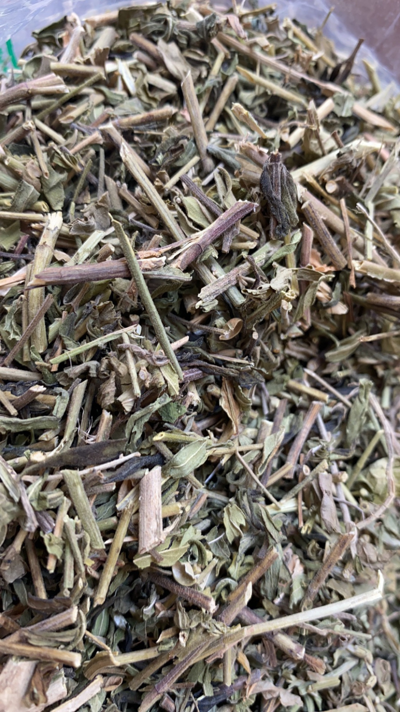 半枝莲产地直销量大从优批发各种中药材需要联系