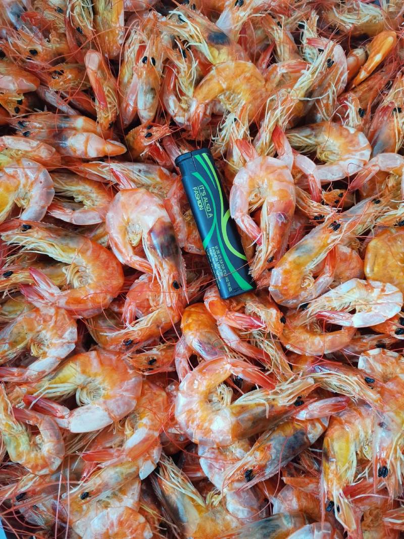 烤虾海虾干碳烤虾干虾海鲜干货肉质劲道营养高