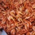 烤虾海虾干碳烤虾干虾海鲜干货肉质劲道营养高