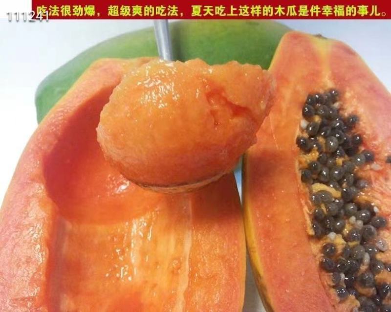 广西红心木瓜热带水果新鲜孕妇果包邮