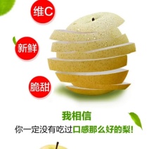 黄金梨，自家种的，不要代办费，