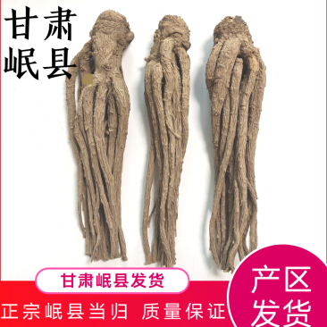 成品十支归手远去细毛尾大当归甘肃岷县产地直供全干货无硫