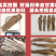 成品十支归手远去细毛尾大当归甘肃岷县产地直供全干货无硫