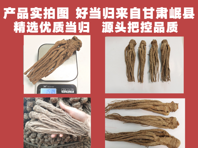 成品十支归手远去细毛尾大当归甘肃岷县产地直供全干货无硫