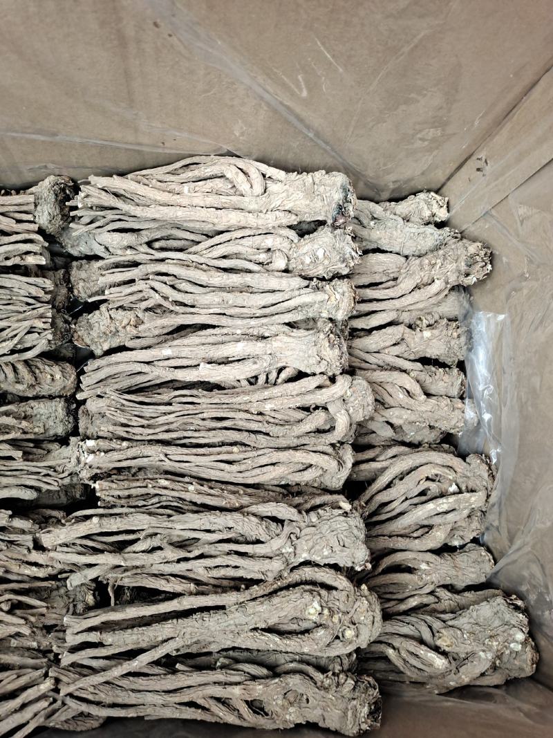 成品十支归手远去细毛尾大当归甘肃岷县产地直供全干货无硫