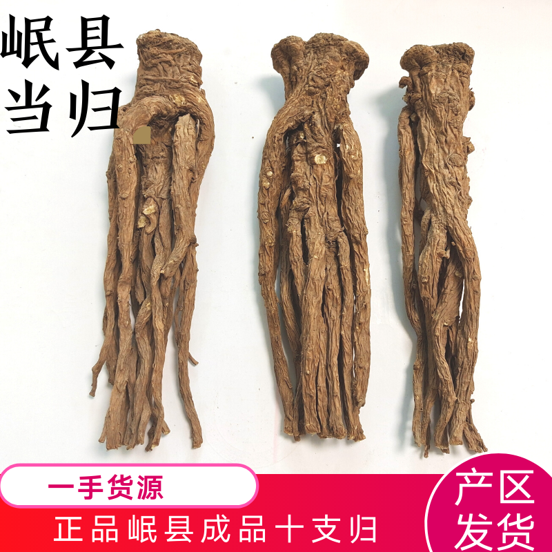 成品十支归手远去细毛尾大当归甘肃岷县产地直供全干货无硫