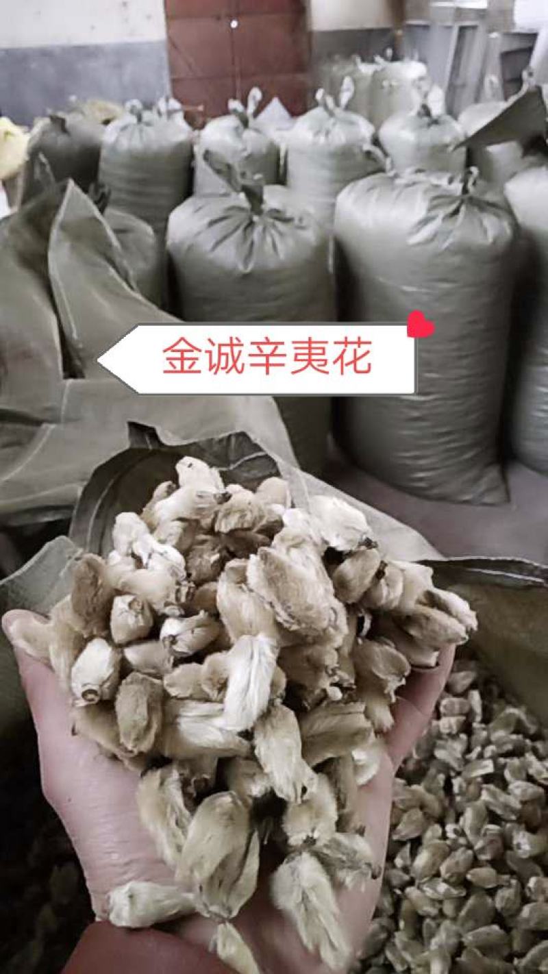 辛夷批发价格可协商辛夷桃毛桃产地直销药食同源