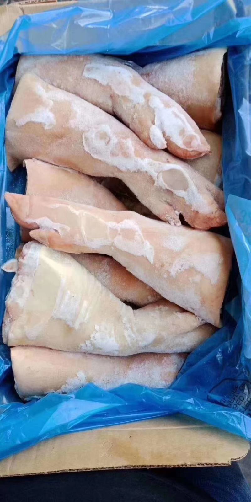 猪手铮，颜色好，正关货，，猪蹄膀，猪手，猪前蹄