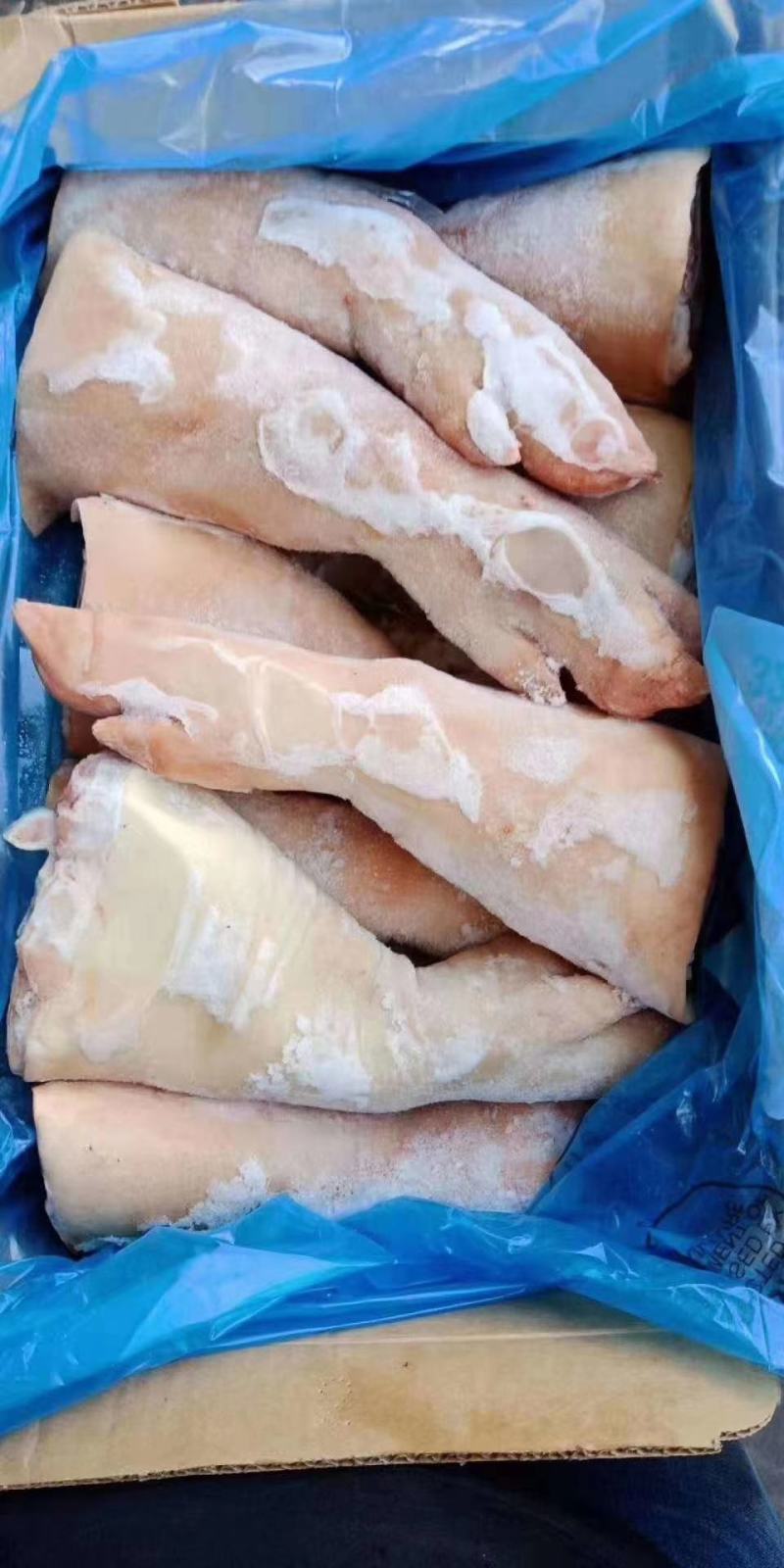 猪手铮，颜色好，正关货，，猪蹄膀，猪手，猪前蹄