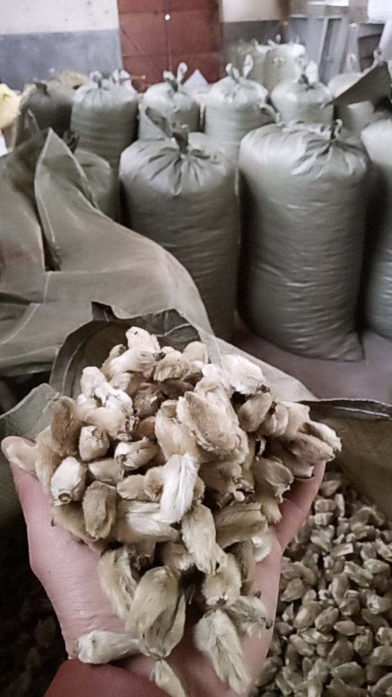 辛夷花常年批发价格电议量大从优大料药食同源