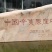 辛夷花常年批发价格电议量大从优大料药食同源