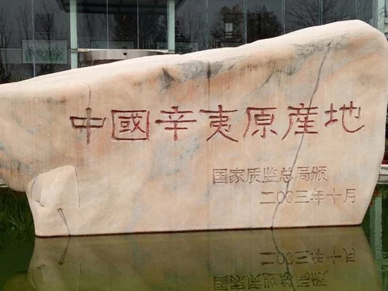辛夷花常年批发价格电议量大从优大料药食同源