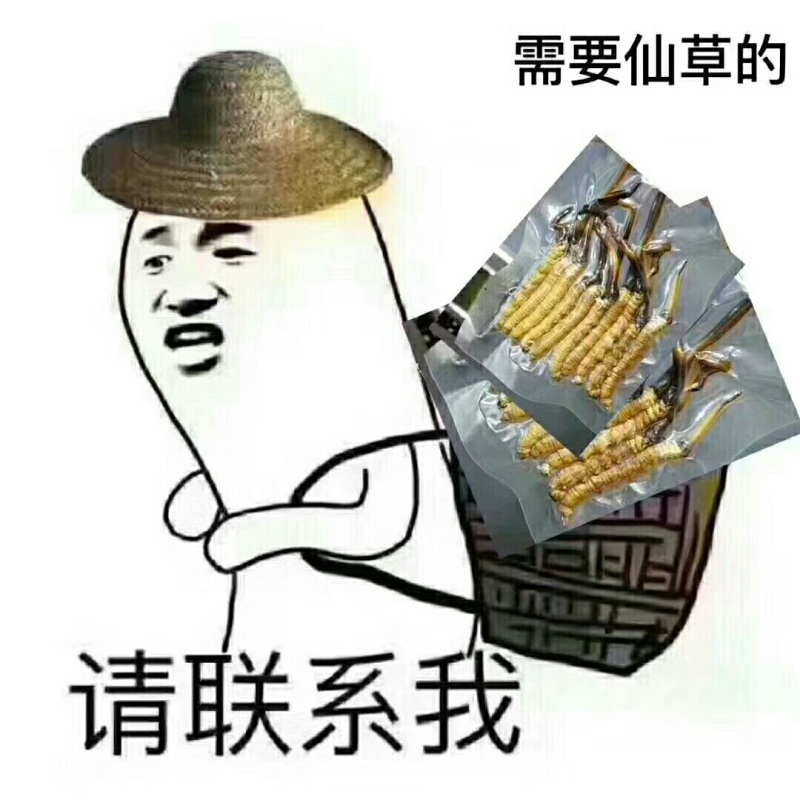 阿坝州正宗松潘县雪山高原虫草，欢迎各位老板来电咨询。