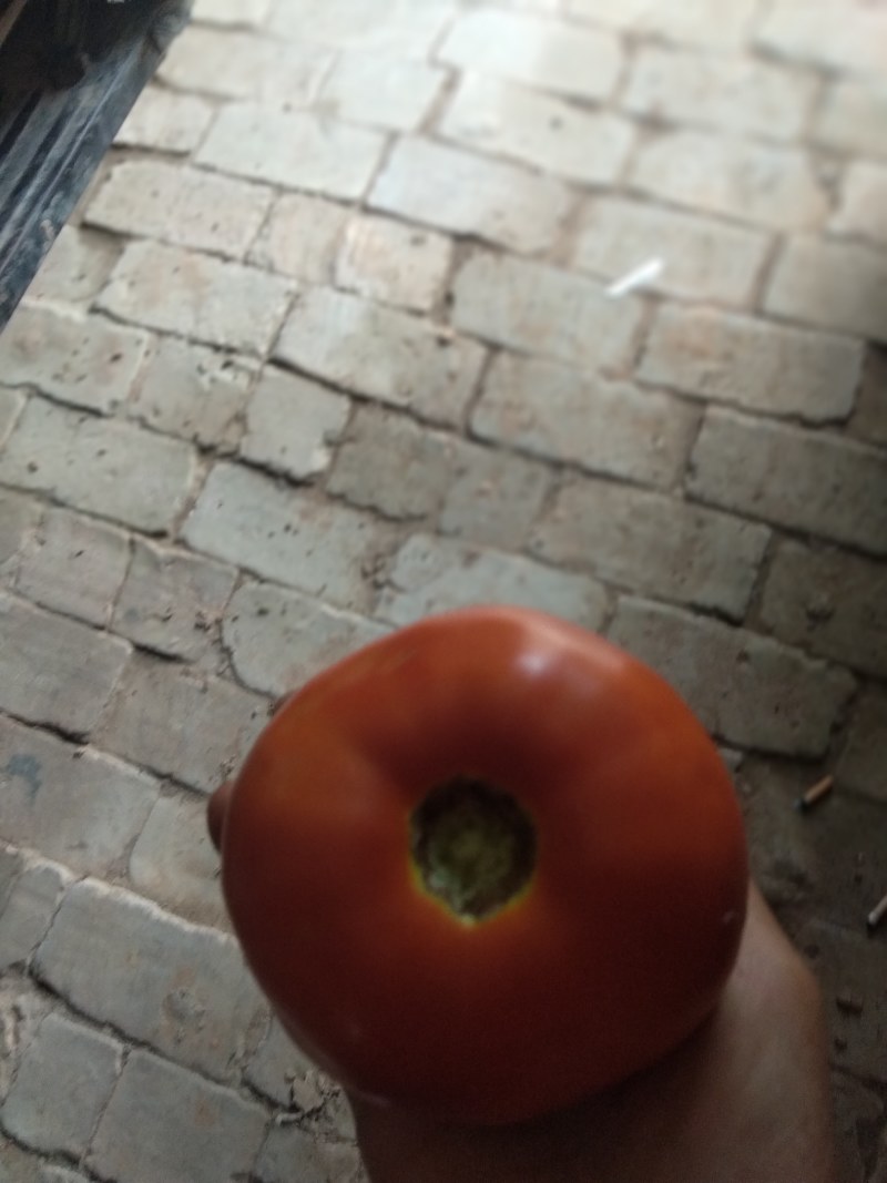 邀你来（大滩聚宝盆:)跟我一起来淘宝