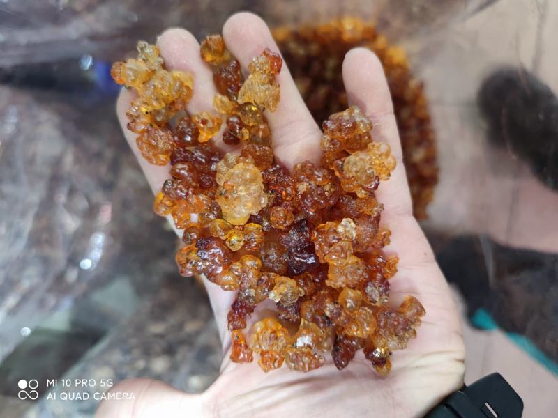桃胶水洗统货！电商微商大量供货款！！