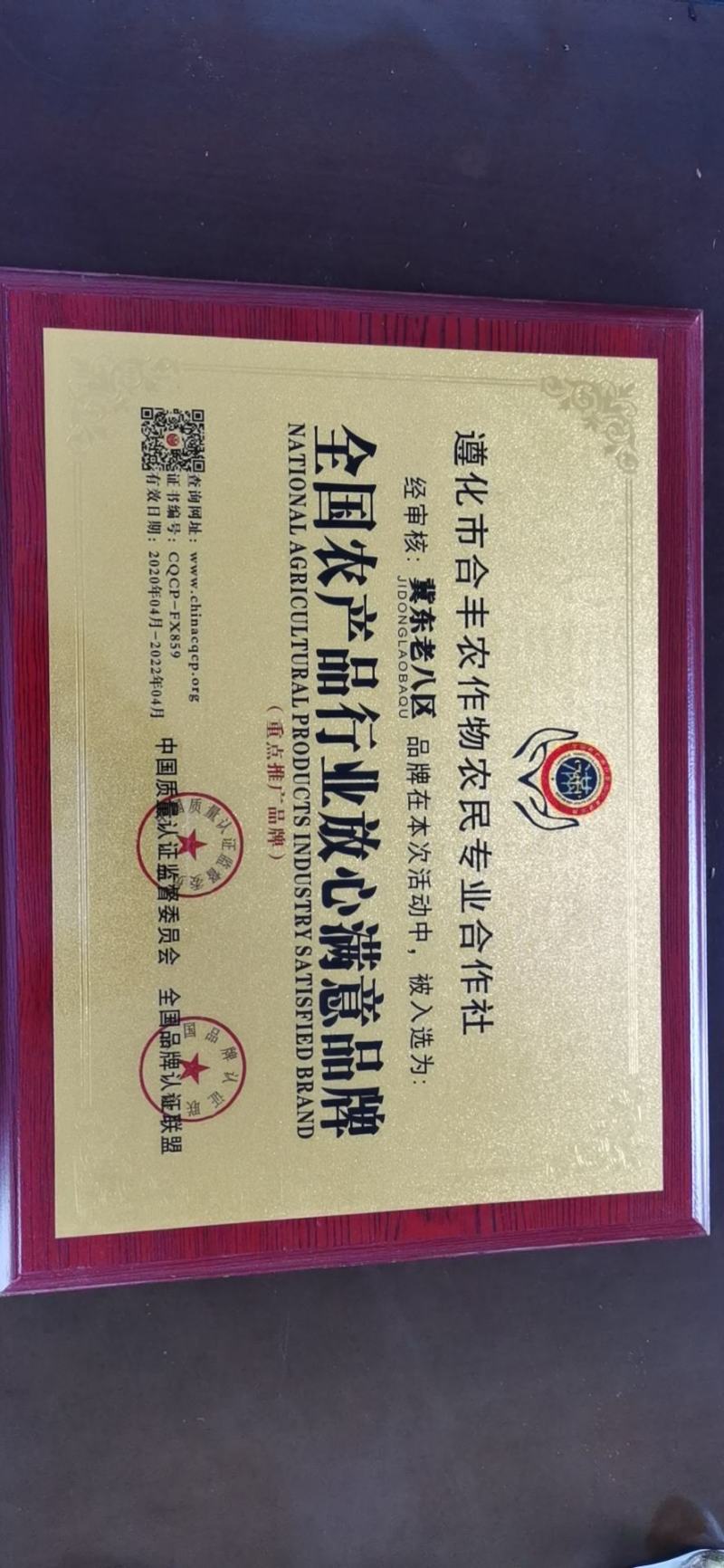 新鲜青皮核桃去皮鲜核桃现摘现发带工具。