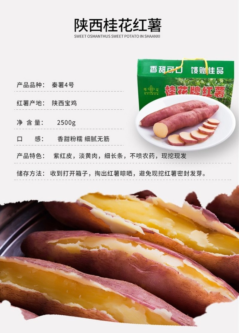 红薯秦薯五号