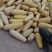 甘肃沙漠金皮西葫芦一手货源优选精品量大从优