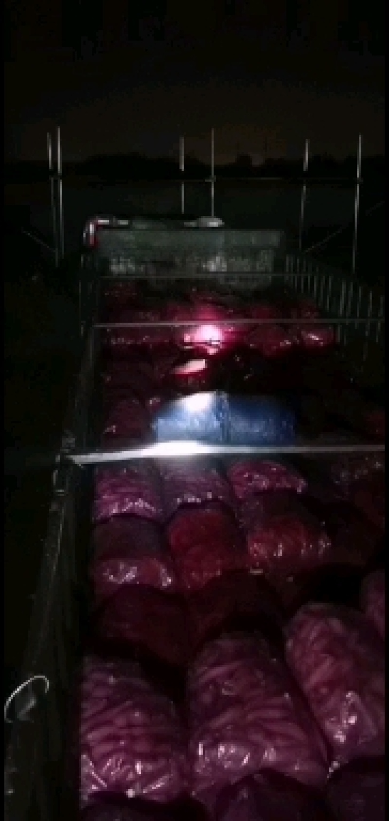 【荐】龙薯九本产地批发各种红薯，可选各种规格包装