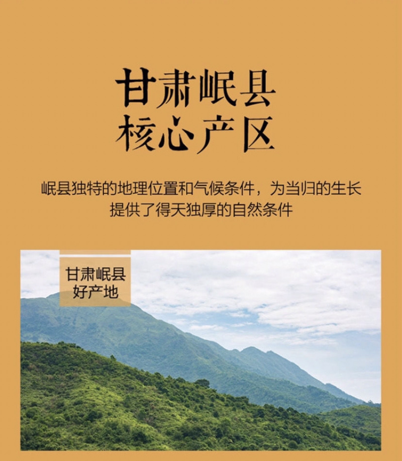 当归中药材全当归当归头无硫全当归片岷县当归