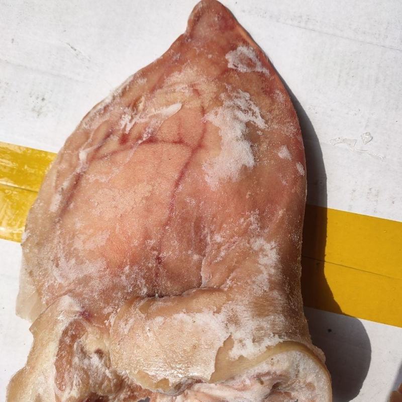 新鲜冷冻猪耳朵生猪耳朵带根耳朵毛重含冰19斤卤菜食堂学