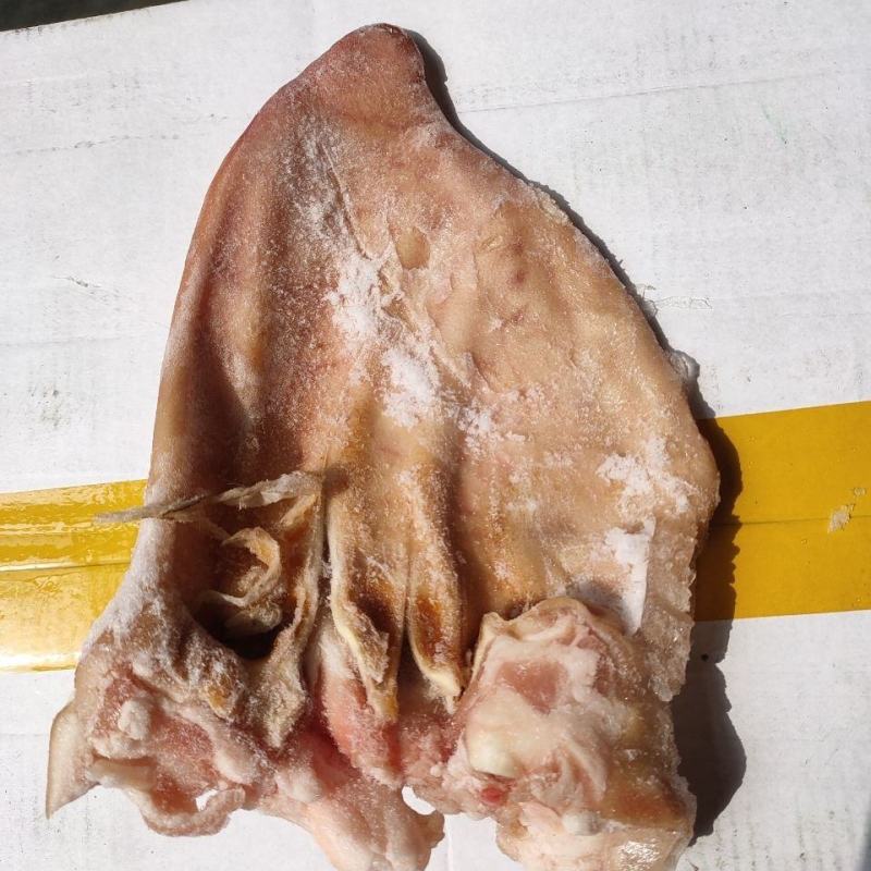 新鲜冷冻猪耳朵生猪耳朵带根耳朵毛重含冰19斤卤菜食堂学