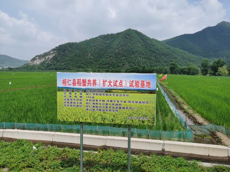 桓仁贡米新米东北辽宁桓仁大米包装稻花香保真假一赔十